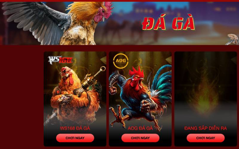 Hello88 Afzoone - link đăng ký hello 88 đăng nhập hello88.com 11 Đá gà online